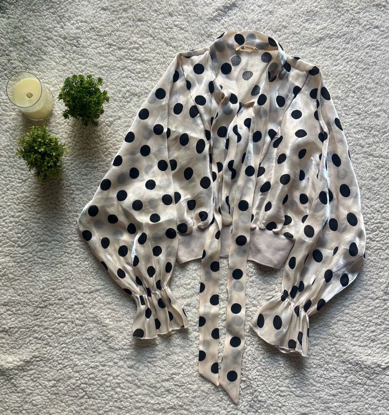 Sheer Polka Dot Tie Neck Crop Top