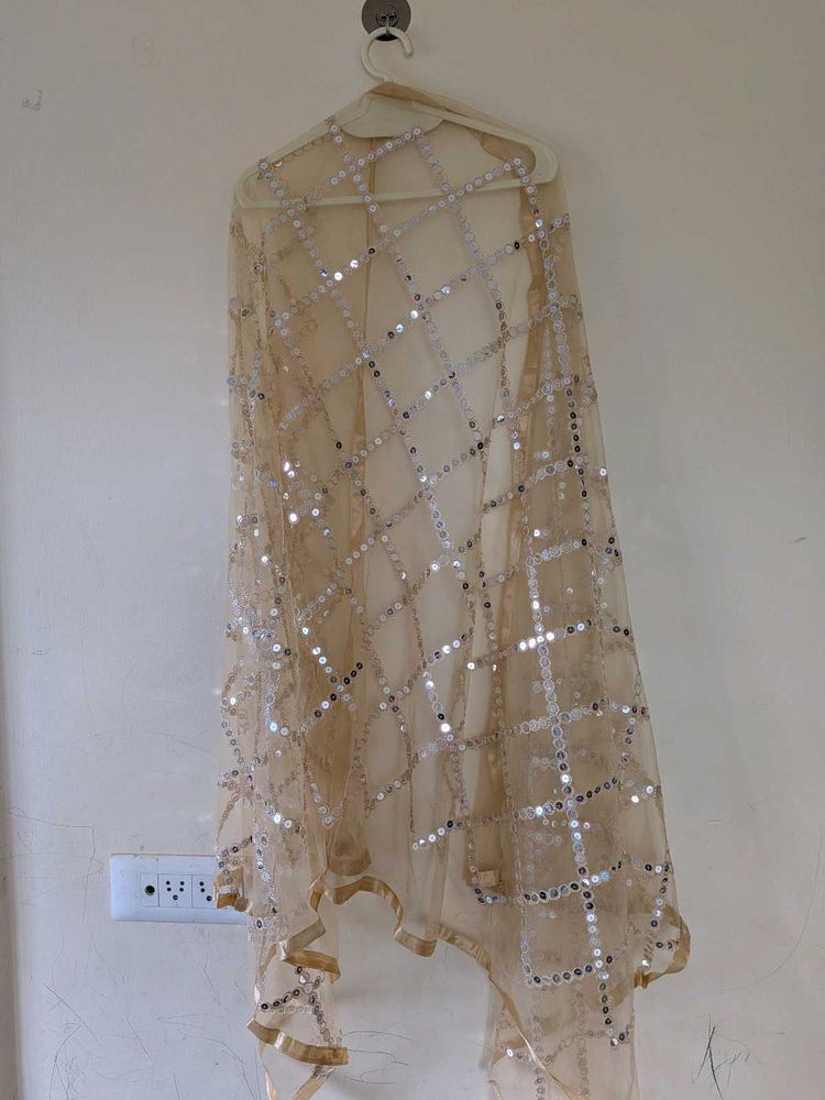Sparkling Sequin Embellished Dupatta