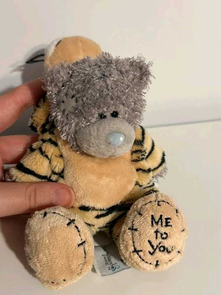 Teddy Bear in Tiger Costume