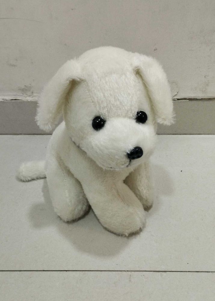 Cute White Plush Puppy