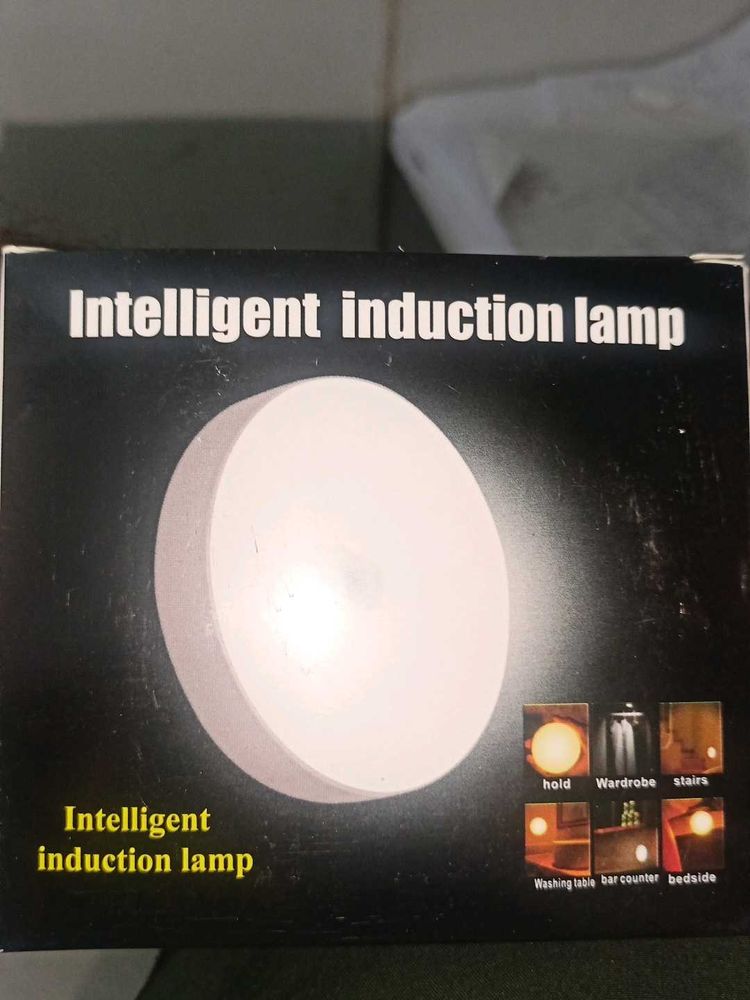 LED Intelligent Night Light