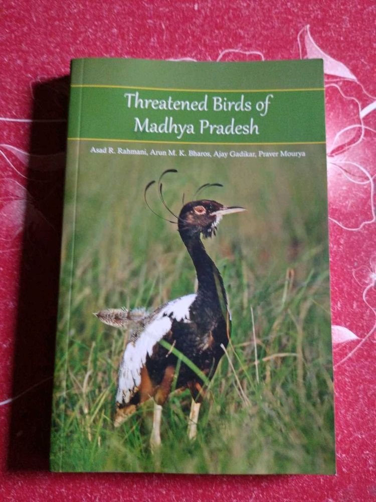 Threatened Birds Of Madhya Pradesh