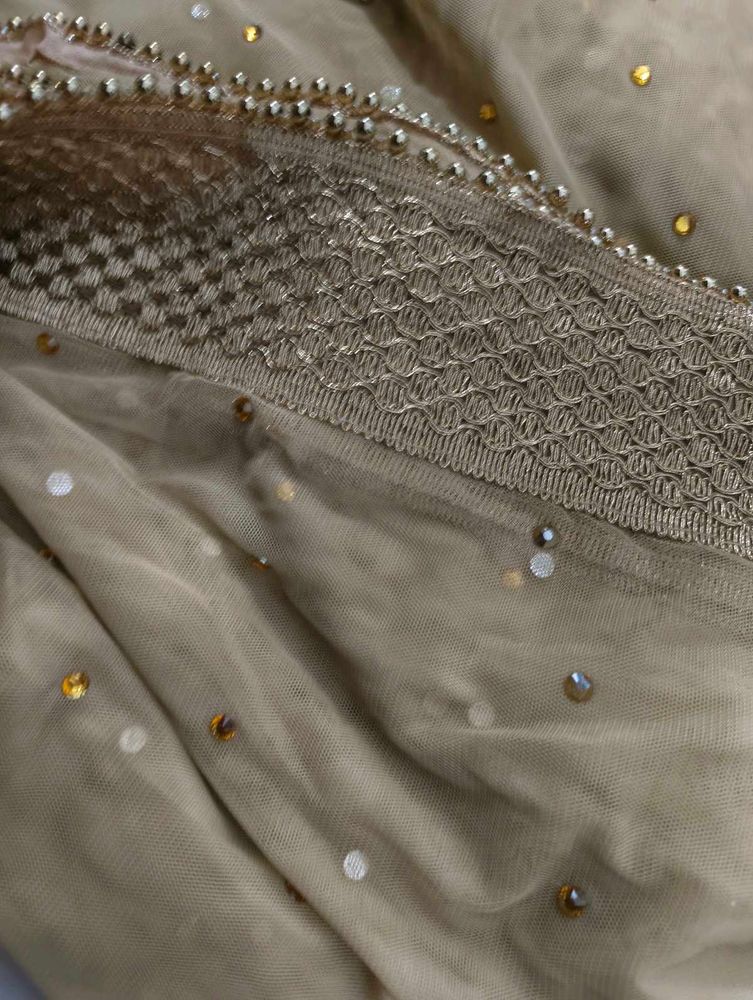 Embellished Net Dupatta for lahenga