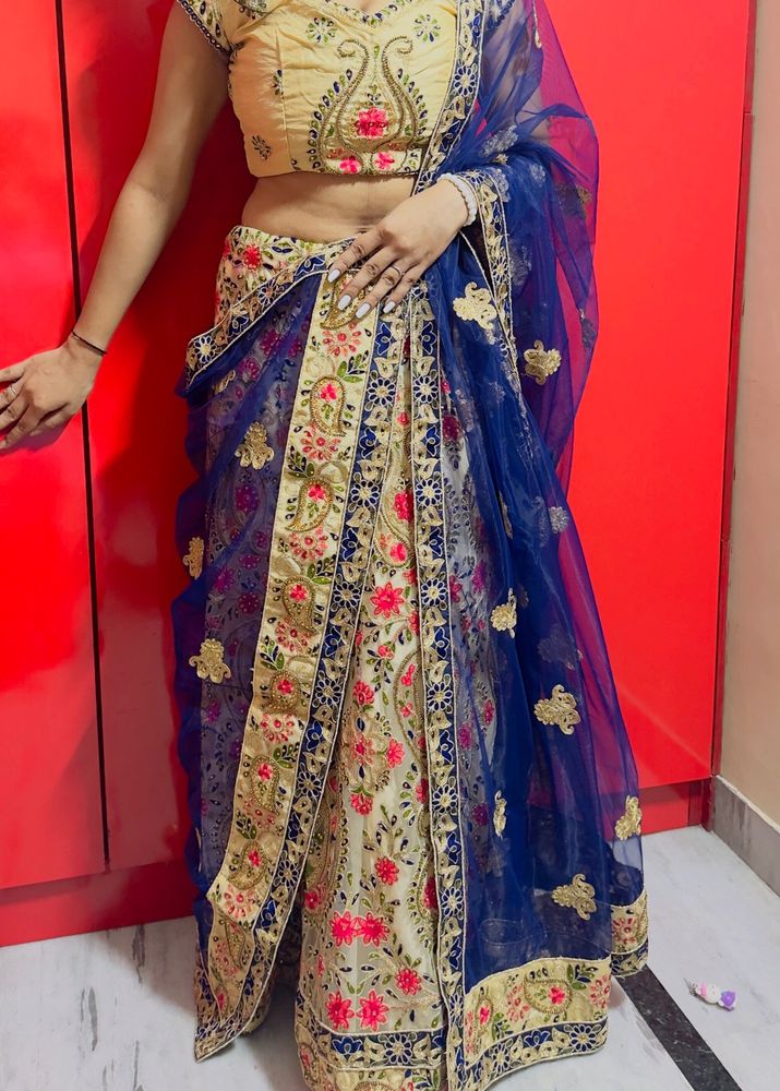 Elegant Embroidered Lehenga Choli