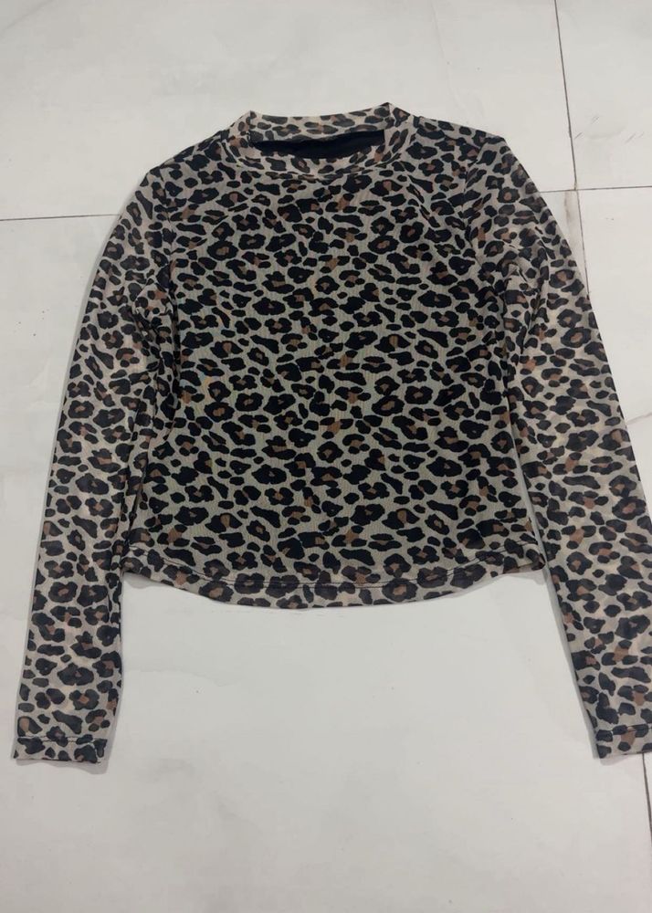 y2k 🐆top