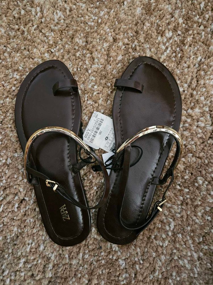 ZARA Dark Brown Flat Sandals
