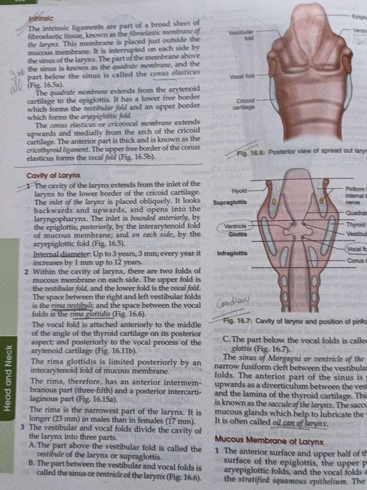 BD Chaurasia Human Anatomy Book vol  4