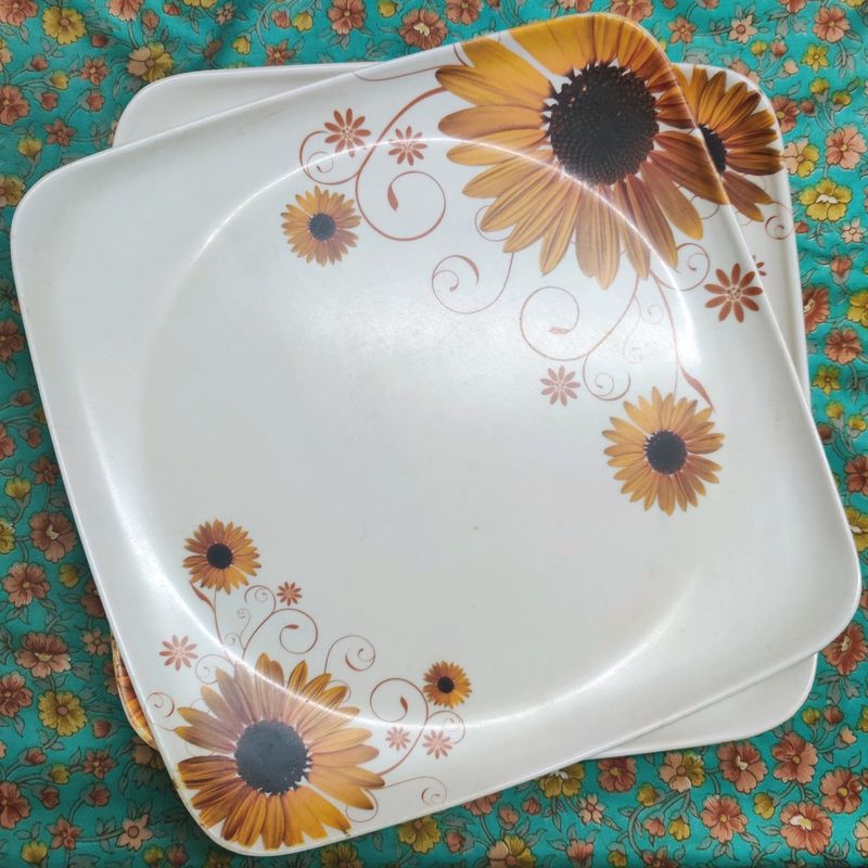Melamine Plates