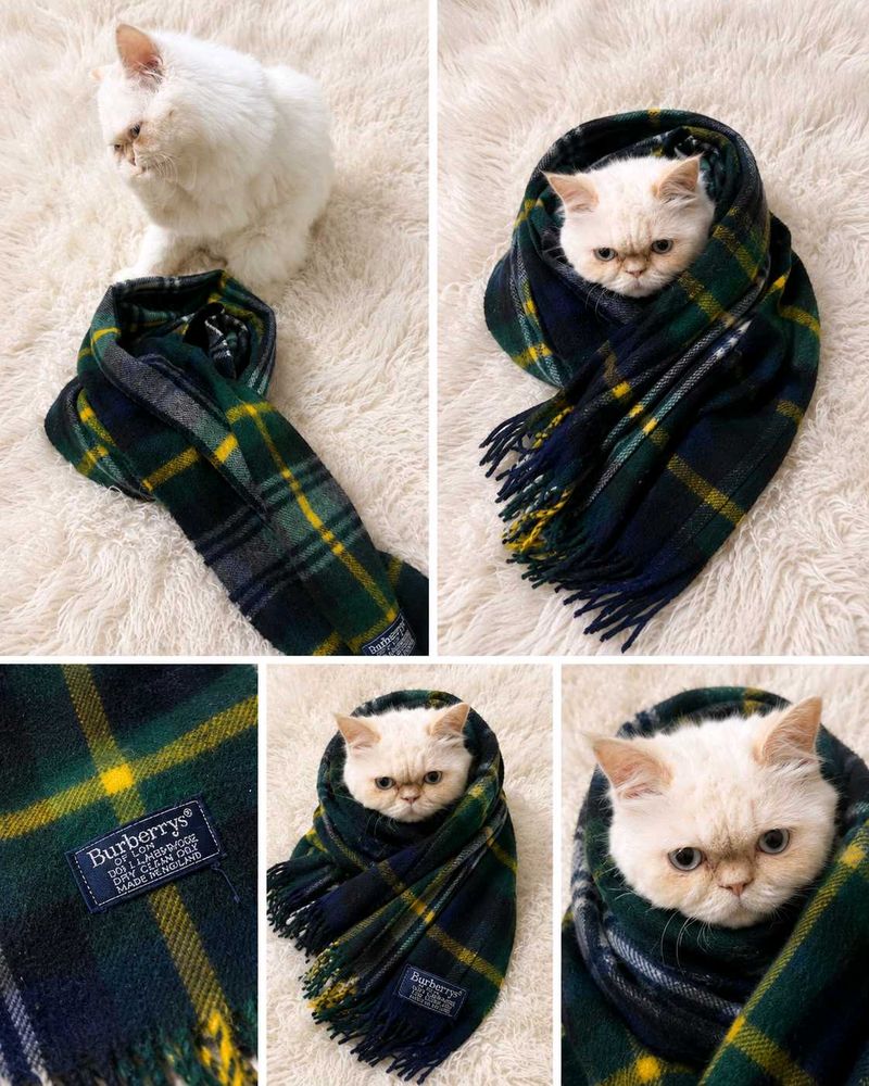 Burberrys Plaid Wool Scarf