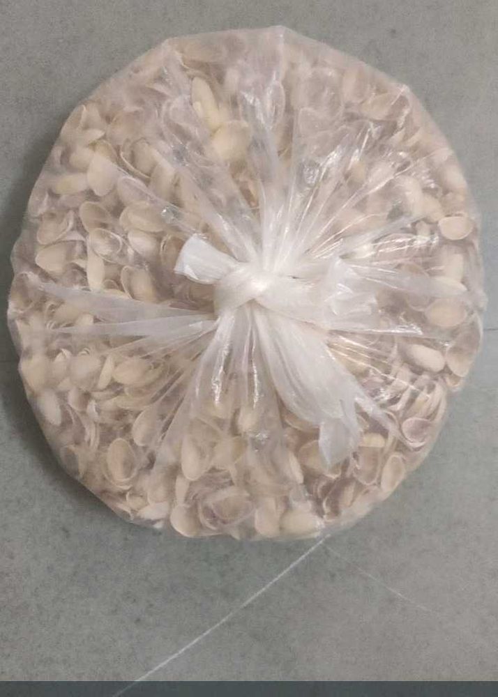 Bulk Pistachio Shells - Crafting &amp; Decor