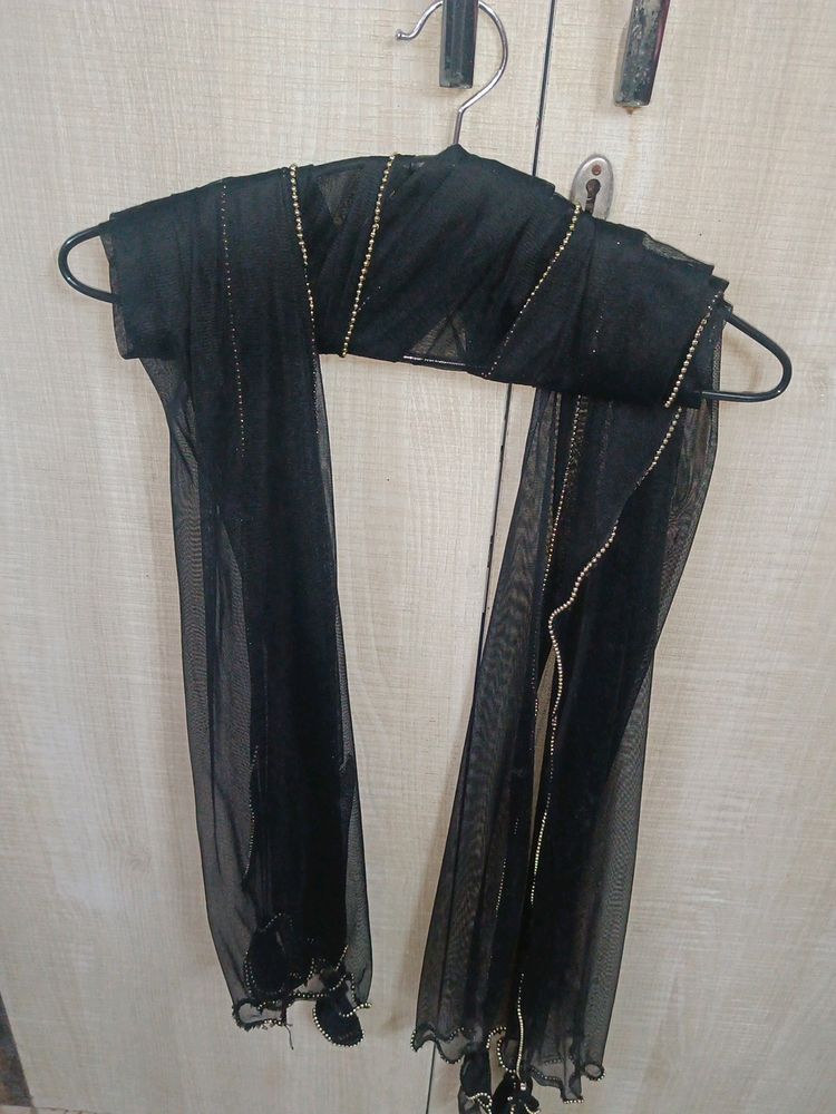 Fancy Net Black Dupttas