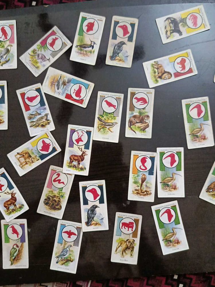 Vintage Animal Trading Cards Collection