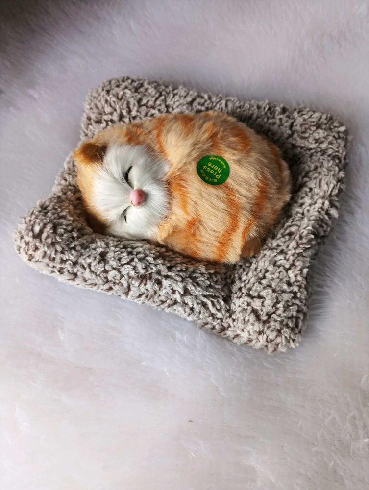 Sleeping Cat Toy