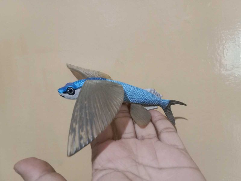 Flying Fish Toy