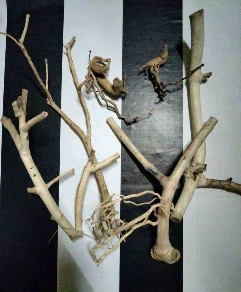 Natural Driftwood Branches &amp; Roots