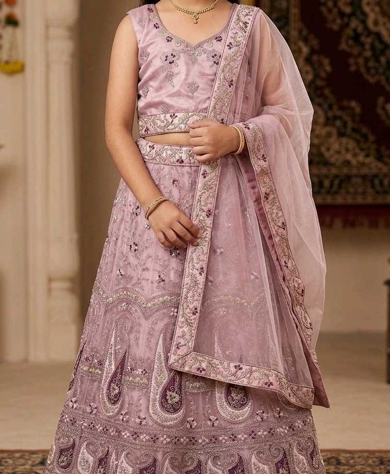 Beautiful Lehenga Choli Set
