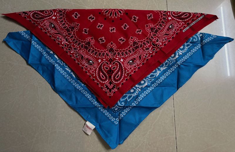 Paisley Bandana Set Red &amp; Blue