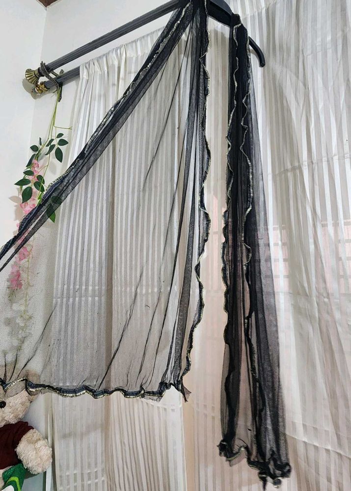 Sheer Black Dupatta with Gold Trim