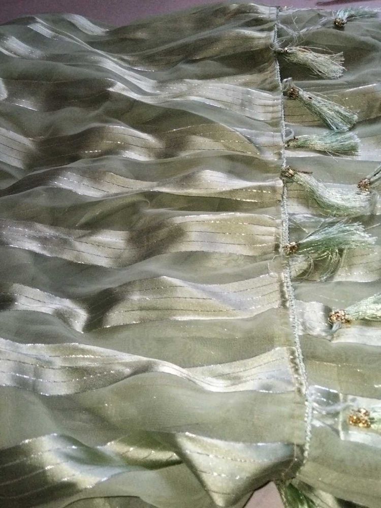 Elegant Green Sareee