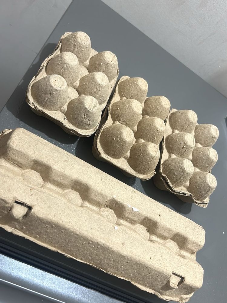 Cardboard Egg Cartons