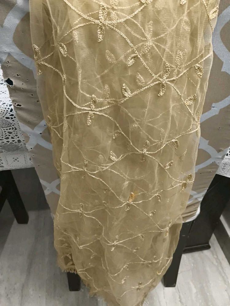Elegant Embroidered Net Dupatta