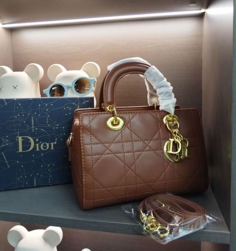 Brown Dior Lady Handbag