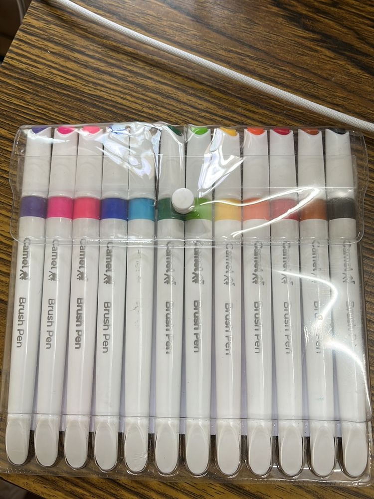 Camel Brush Pen(only 1 Pen Used)
