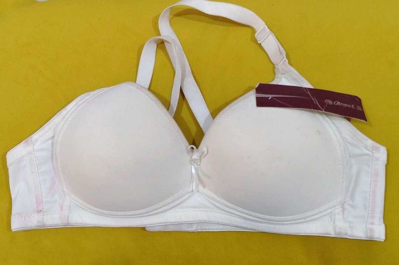 904 --  sample item Padded Bra
