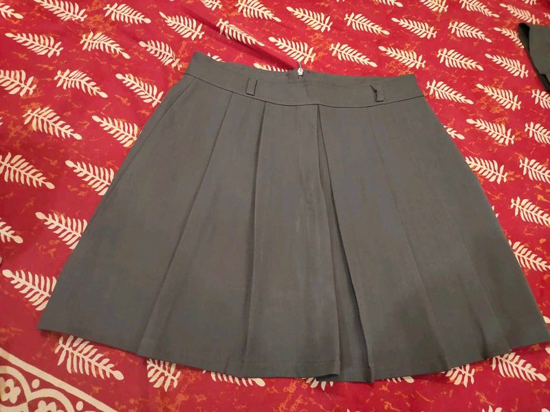 Pleated Grey Skirt