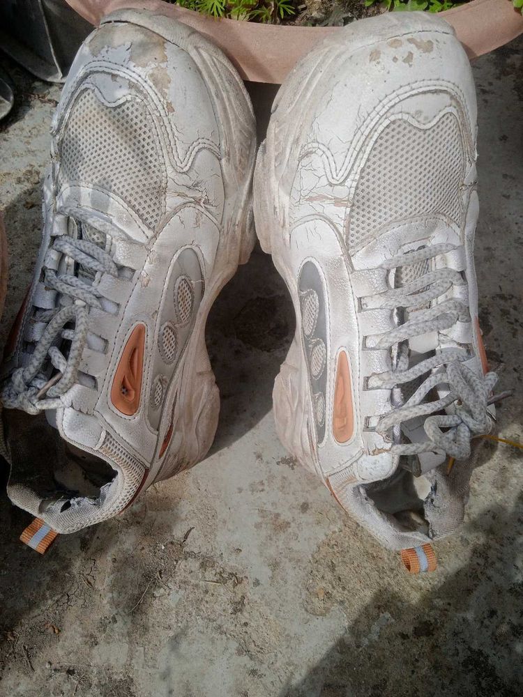 used Lace-Up Sneakers