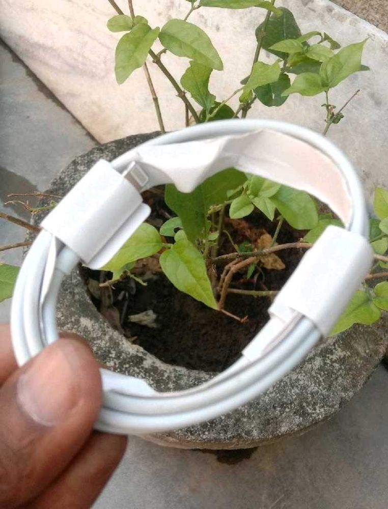 White USB C Charging Cable