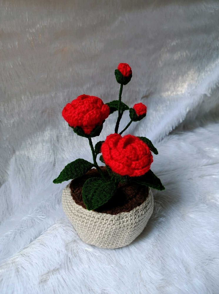Crocheted Red Rose Plant Pot