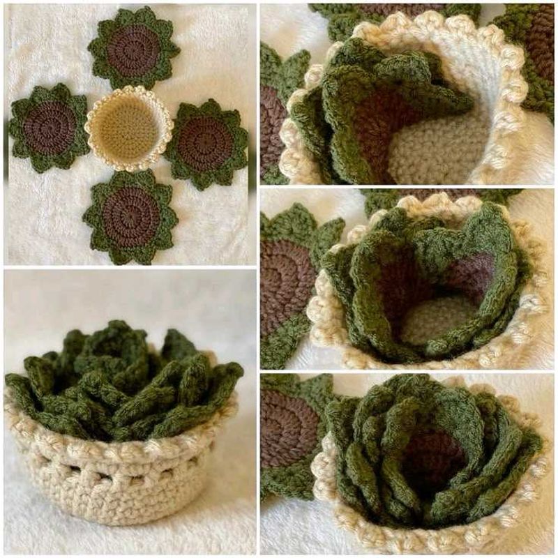 𓍢ִ໋🀦Crochet Succulent Coaster-Decor𓍢ִ໋🀦