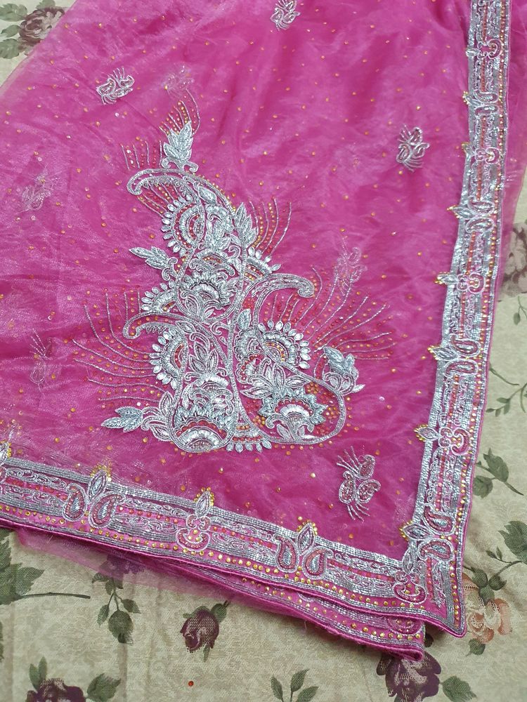 Pink Net Saree