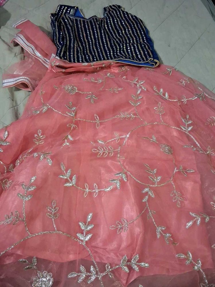 Designer Lehenga Choli Set