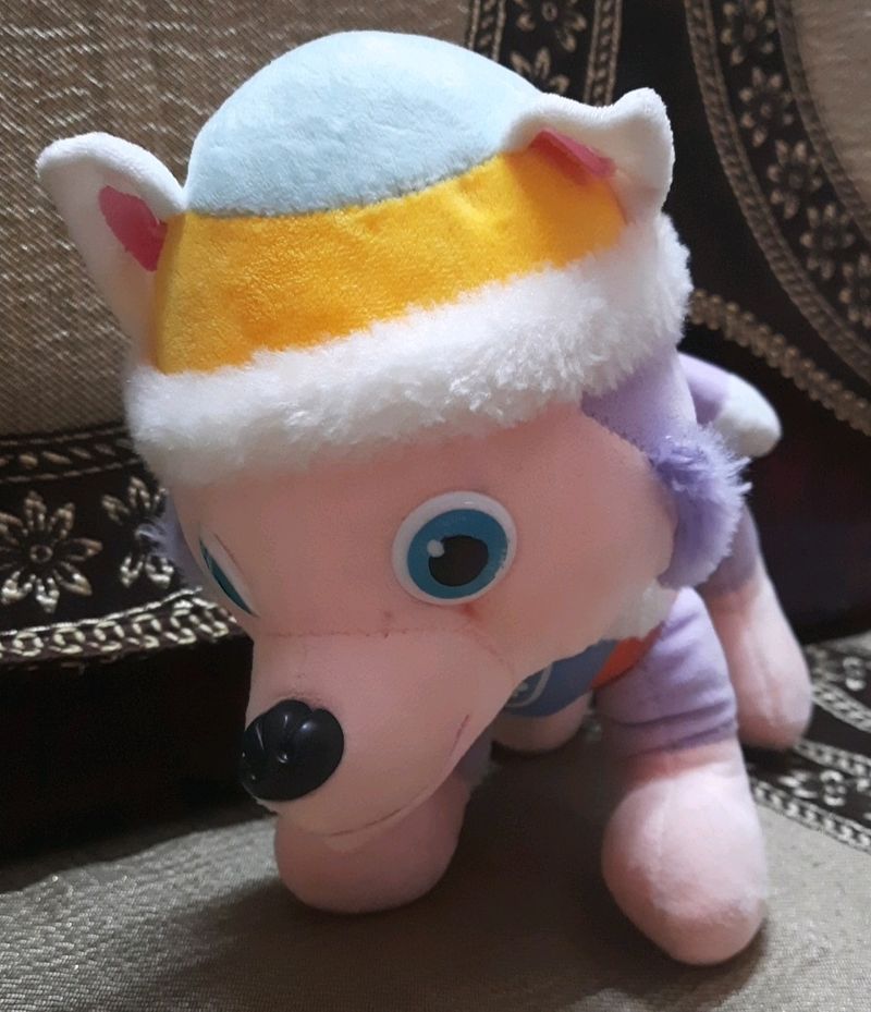 Cute Puppy