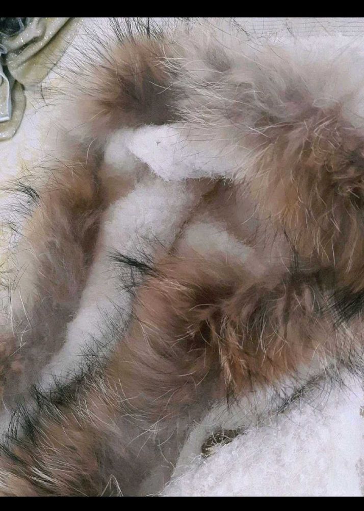Imported Luxurious Fur Lined Jacket