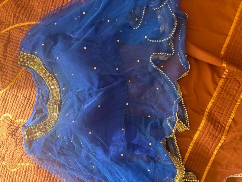 Blue Net Blouse with Embellishments