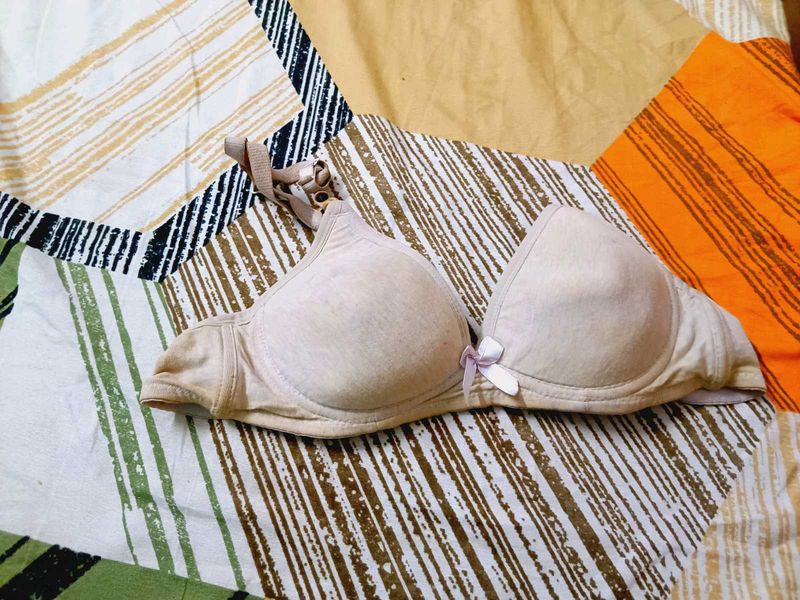 Comfortable Lightly Padded Bra