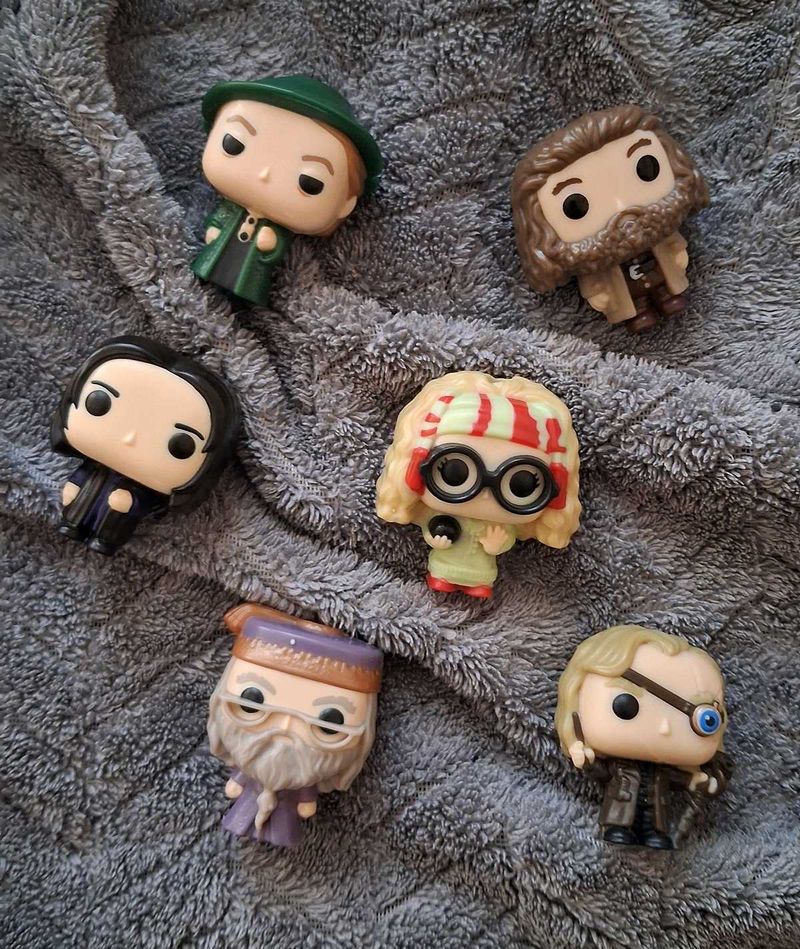 ✨️ Hogwarts Faculty Set ✨️