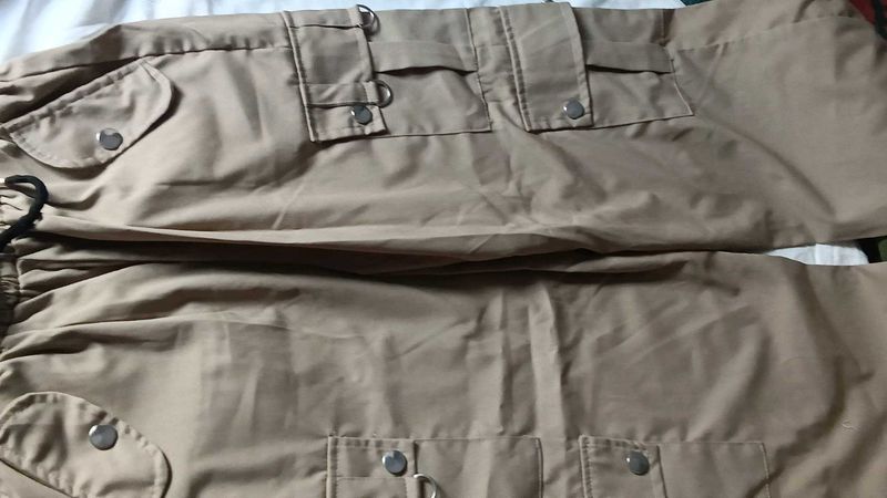 beige Cargo pants