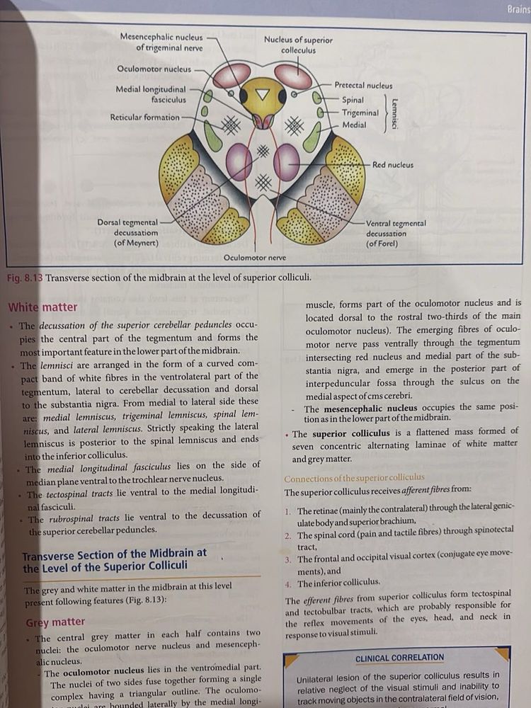 Medical Textbook-vishram Singh