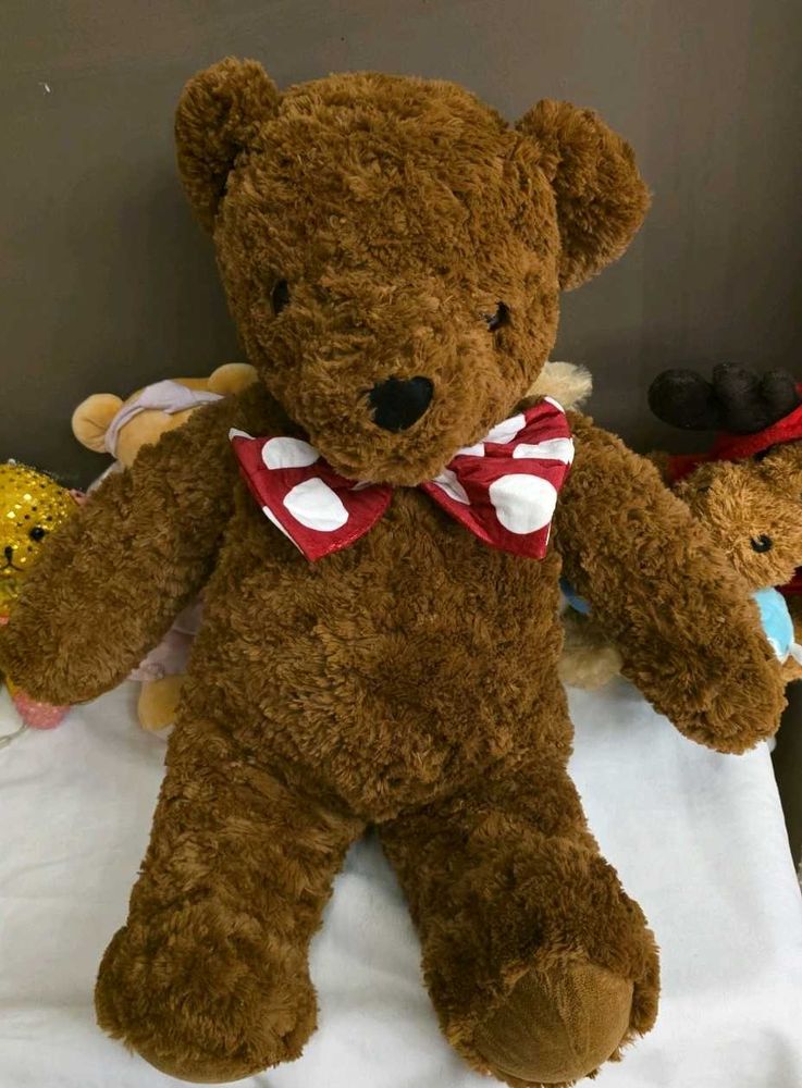 Cute Brown Teddy Bear