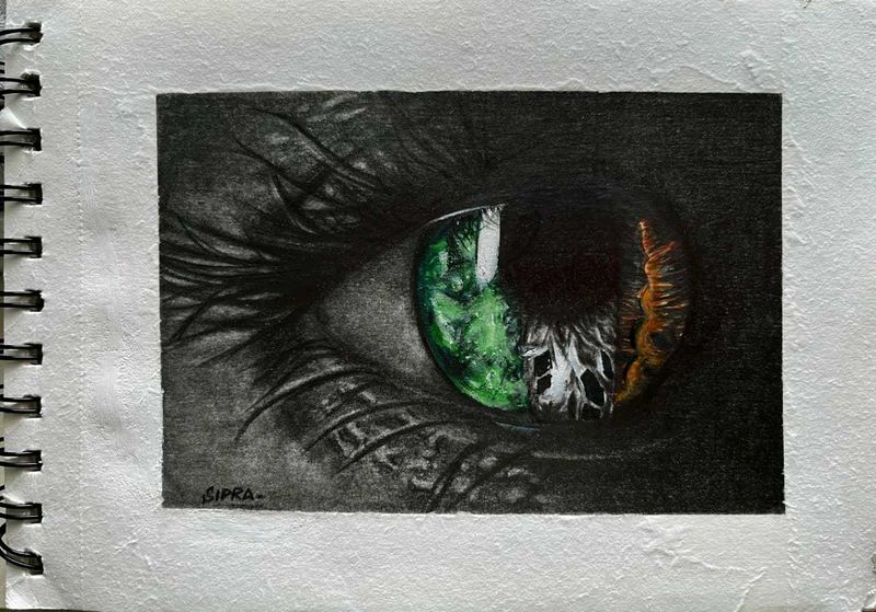 Unique Eye Drawing - Detailed Charcoal Art