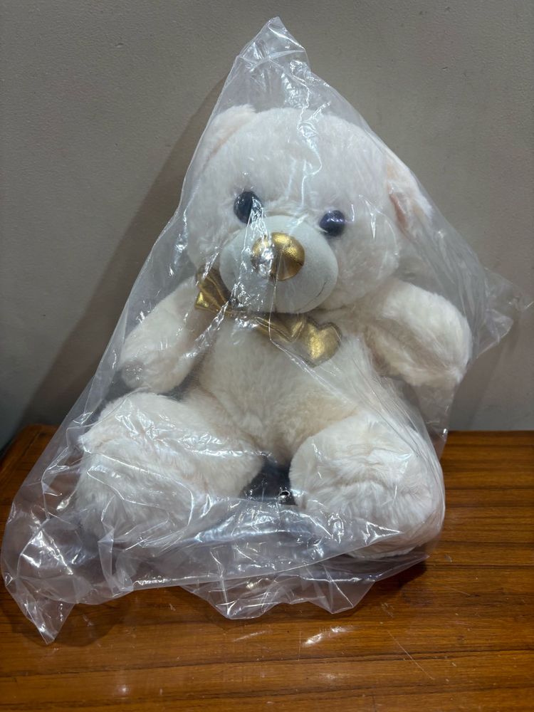Cute Cream Teddy Bear