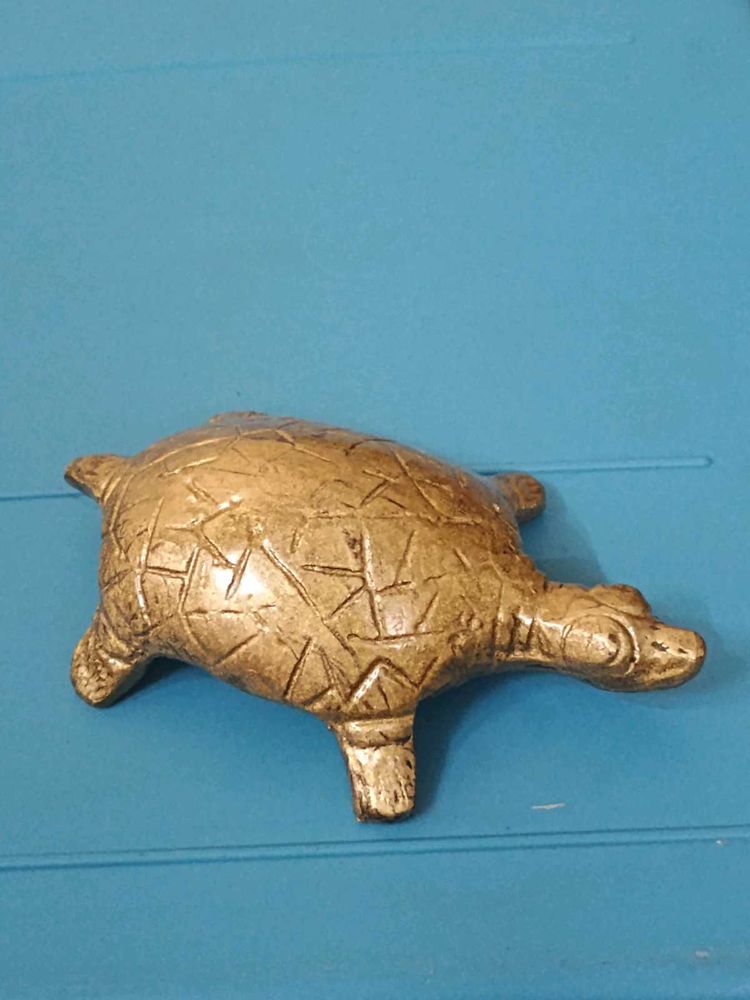 Pair of Lucky Brass Tortoise
