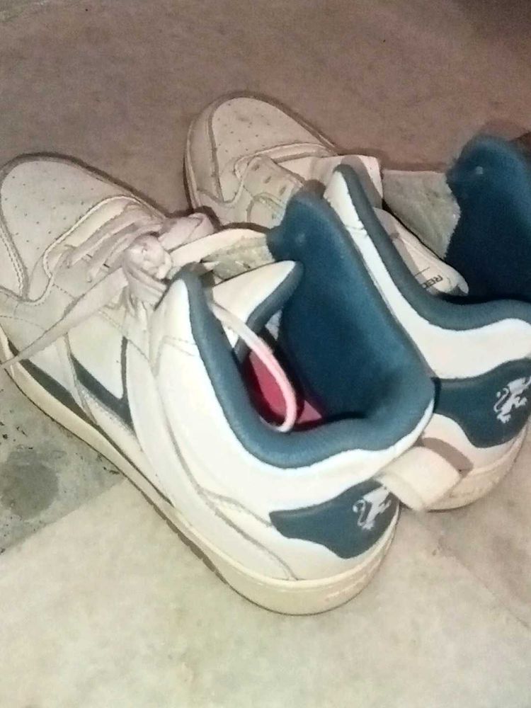 Red Tape Sneakers