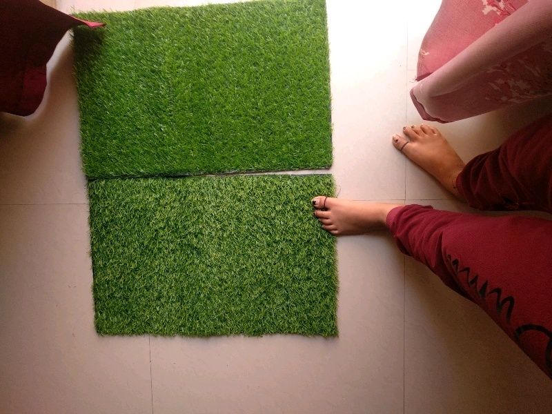 2 Pc Grass Mat
