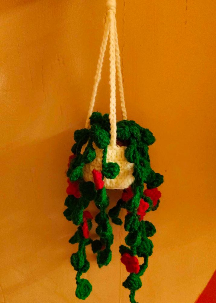 Crochet Hanging Planter ✨🌱