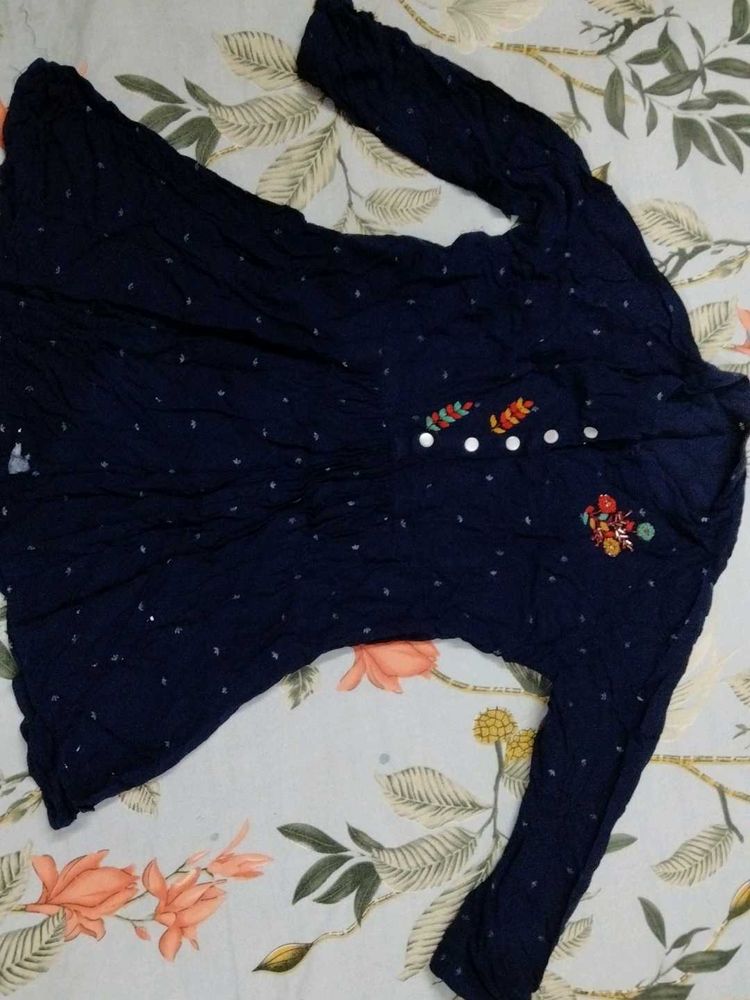 Navy Blue Embroidered Dress